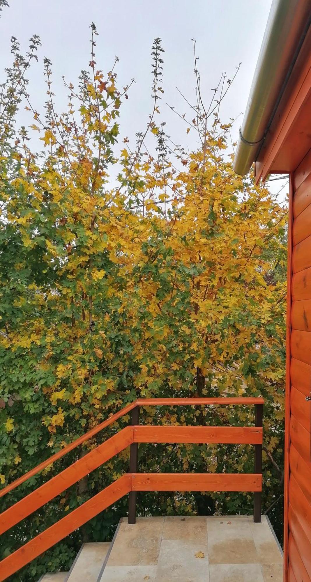 Barkoca Es Szepkilatas Vendeghaz / Cabin Verőcemaros Exterior foto